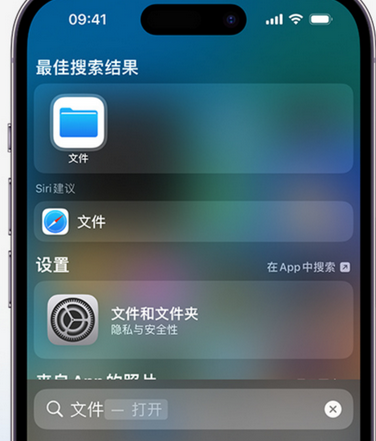 铁西apple维修中心分享iPhone文件应用中存储和找到下载文件 