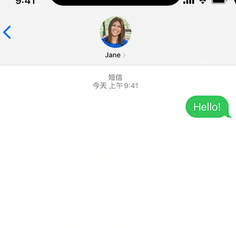 铁西apple维修iPhone上无法正常发送iMessage信息