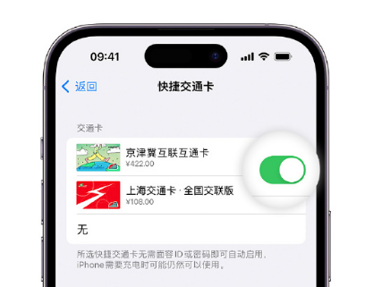 铁西apple维修点分享iPhone上更换Apple Pay快捷交通卡手绘卡面 