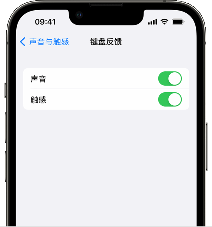 铁西苹果14维修店分享如何在 iPhone 14 机型中使用触感键盘 