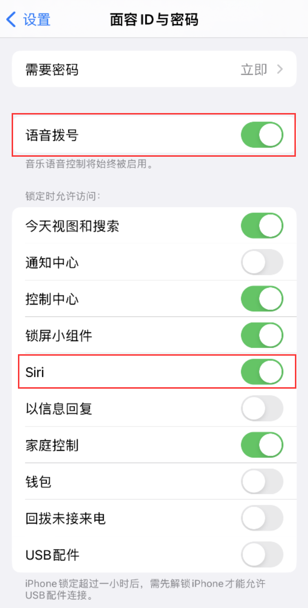 铁西苹果维修网点分享不解锁 iPhone 的情况下通过 Siri 拨打电话的方法 