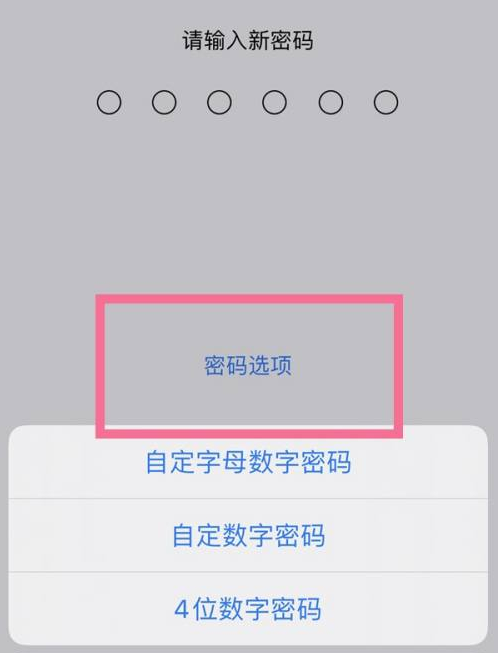 铁西苹果14维修分享iPhone 14plus设置密码的方法 