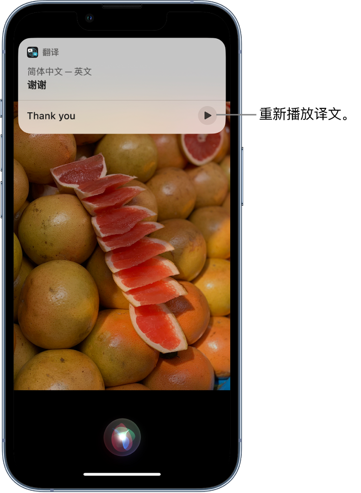 铁西苹果14维修分享 iPhone 14 机型中使用 Siri：了解 Siri 能帮你做什么 