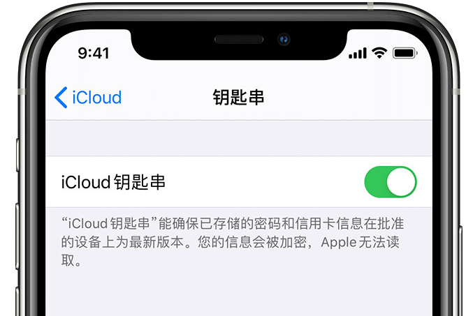 铁西苹果手机维修分享在 iPhone 上开启 iCloud 钥匙串之后会储存哪些信息 